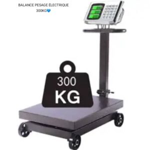 Balance à Plateforme 300 kg – Précision et Robustesse